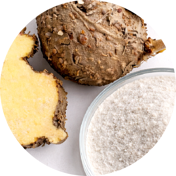 Ingredience__Glukomannan